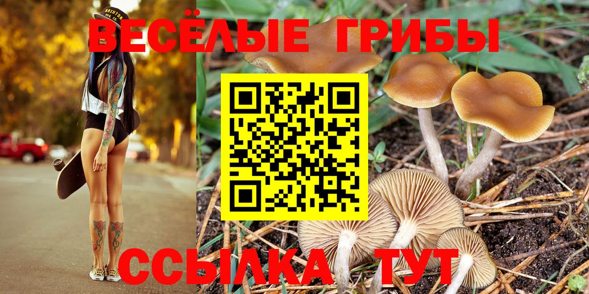 Галлюциногенные грибы Psilocybine cubensis  Вход с VPN  Гуково 