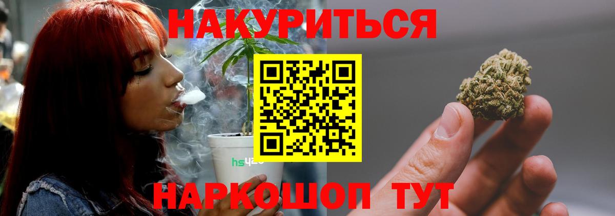 Каннабис планчик Гуково